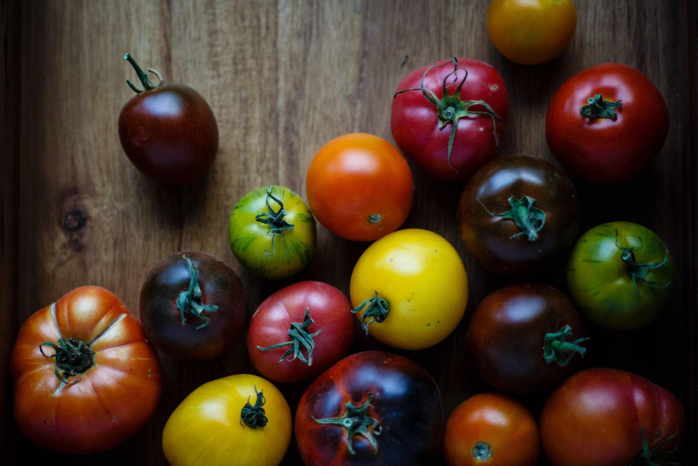 Tomatensorten: die unendliche Vielfalt der roten Frucht-Botanicly
