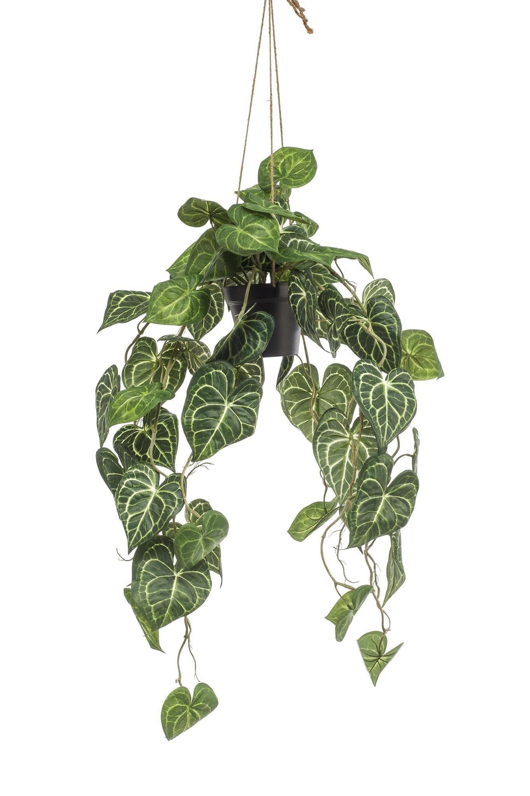 Anthurium Clarinervium - 80 cm - kunstpflanze-Plant-Botanicly