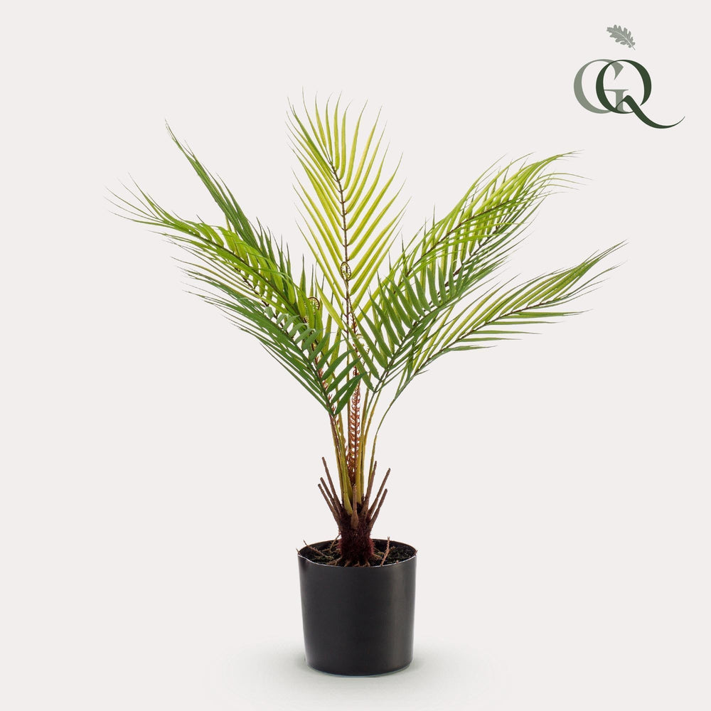 Chamaedorea Elegans- Bergpalme - 50 cm -kunstpflanze-Plant-Botanicly