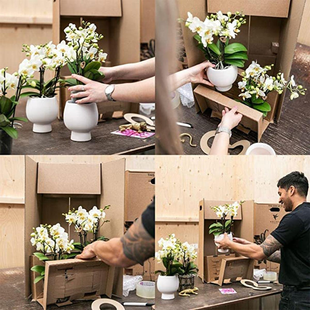 Kolibri Home | Blumentopf glasiert - Weißer Keramik-Ziertopf mit Glanz - Topfgröße Ø6cm-Plant-Botanicly