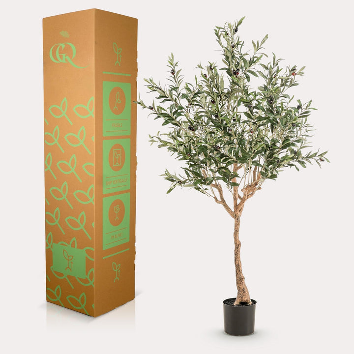 Olea europaea - Olivenbaum - 150 cm - kunstpflanze-Plant-Botanicly