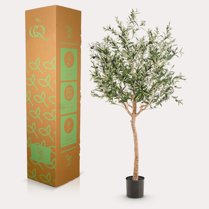 Olea Europaea - Olivenbaum - 180 cm - kunstpflanze-Plant-Botanicly