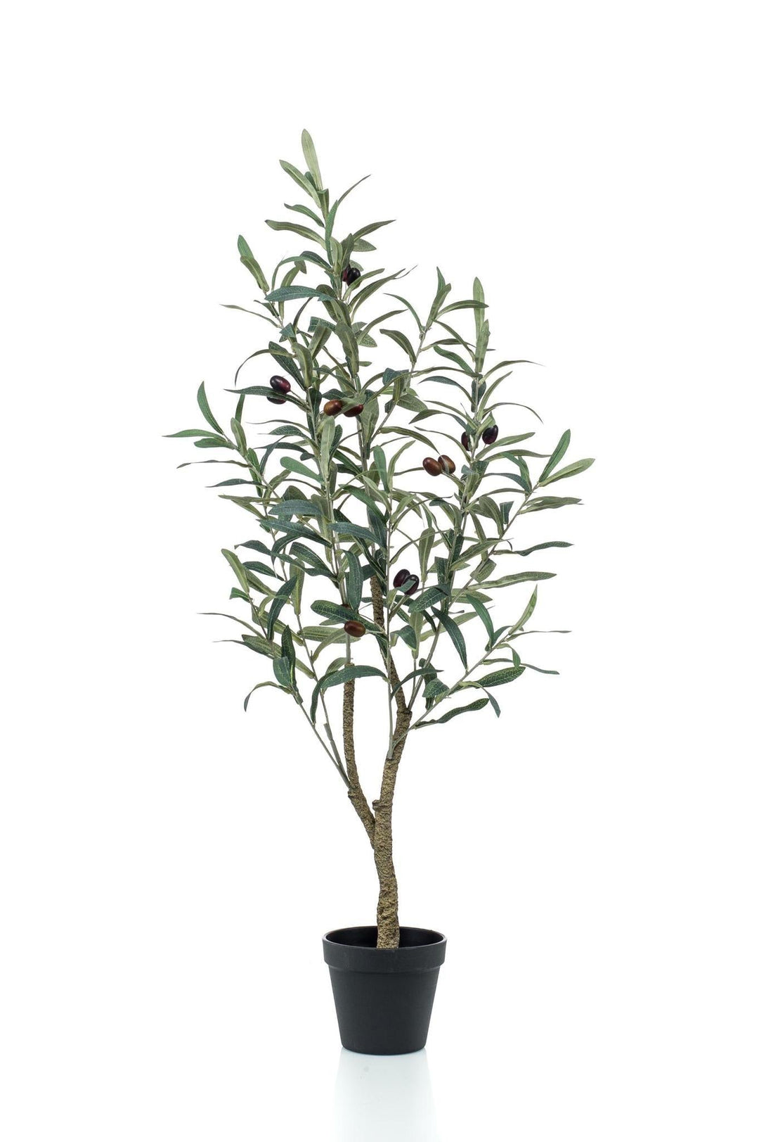Olea Europaea - Olivenbaum- 90 cm - kunstpflanze-Plant-Botanicly
