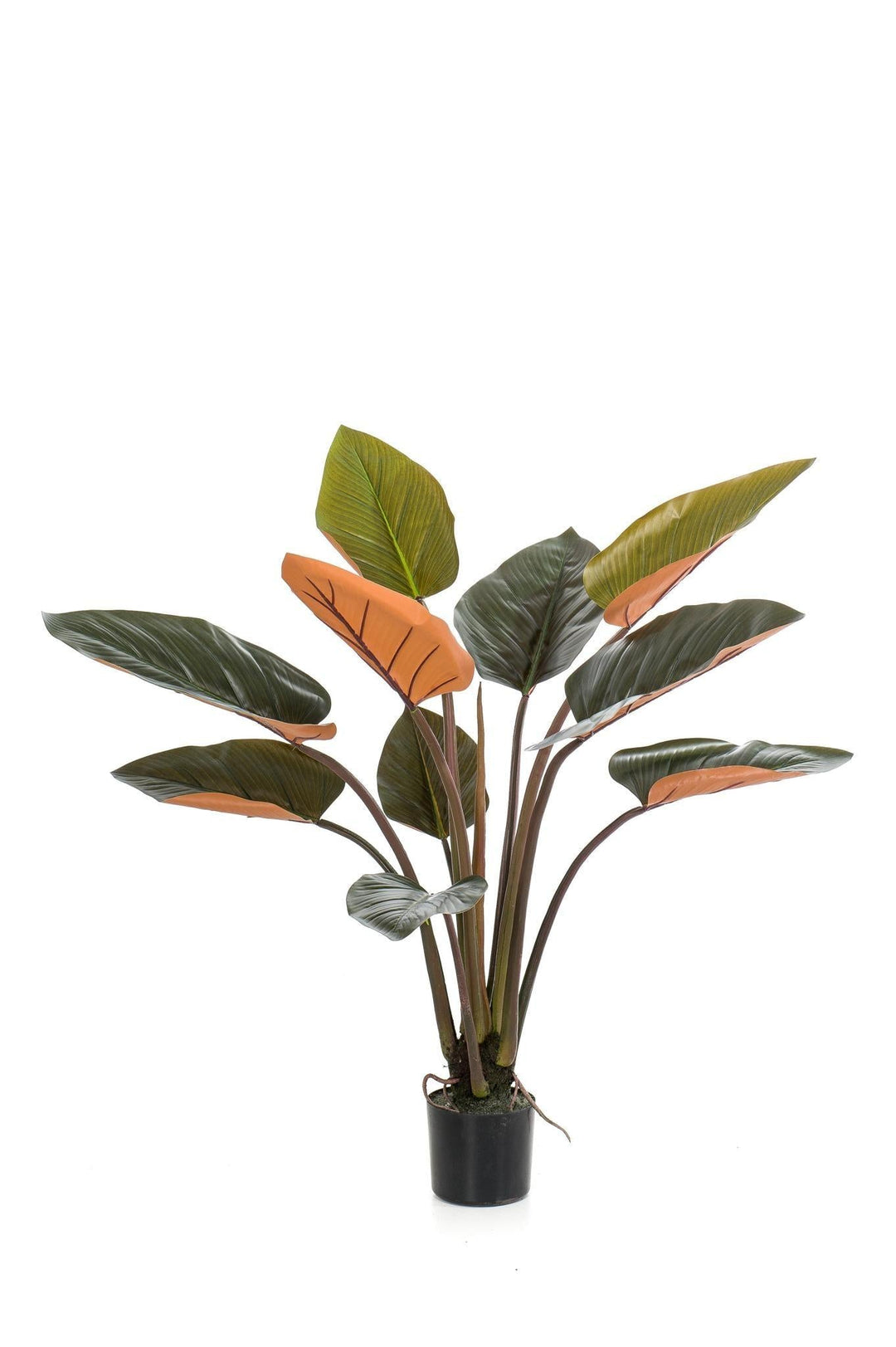 Philodendron - 120 cm - kunstpflanze-Plant-Botanicly