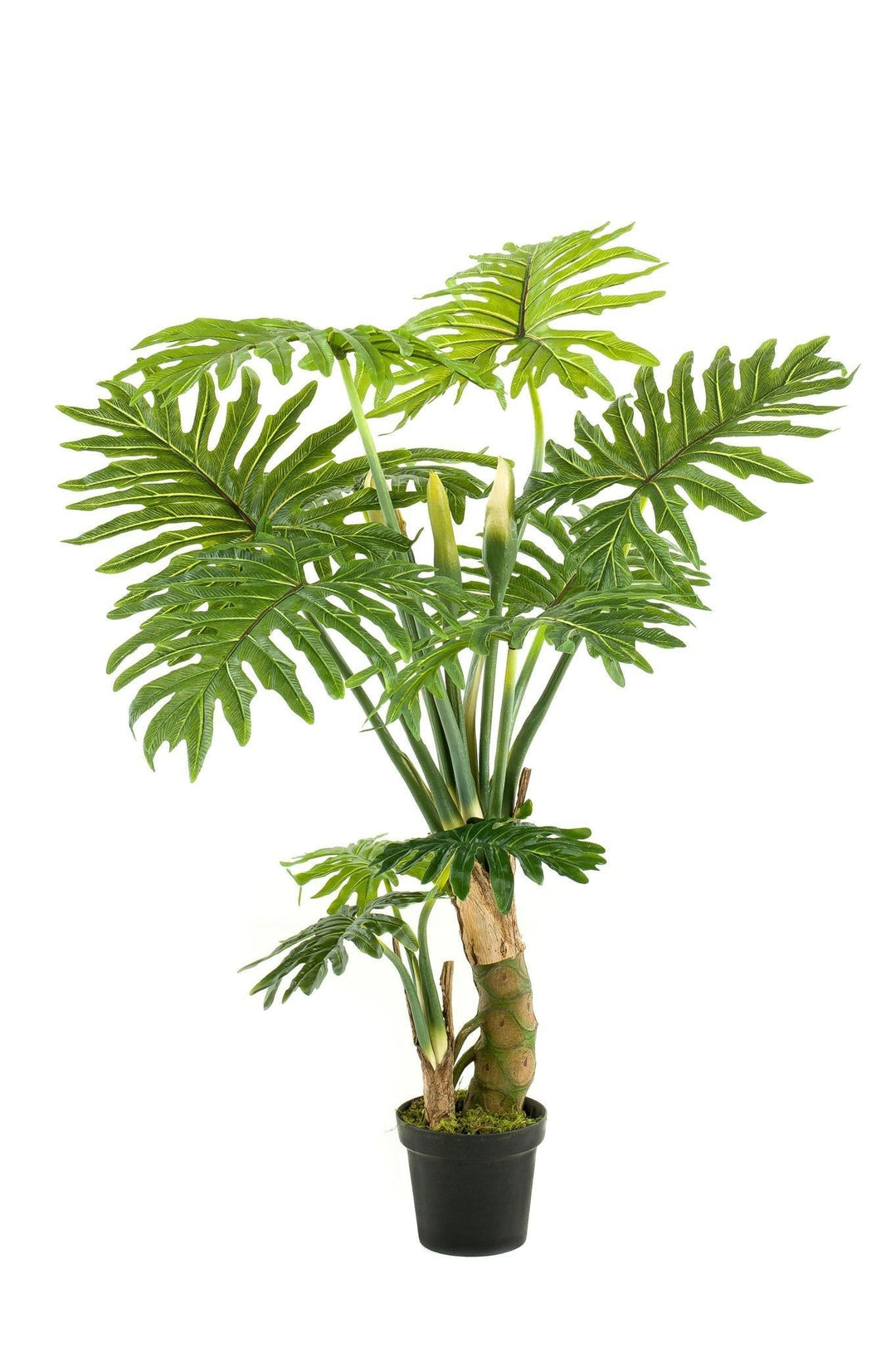 Philodendron - 130 cm - kunstpflanze-Plant-Botanicly