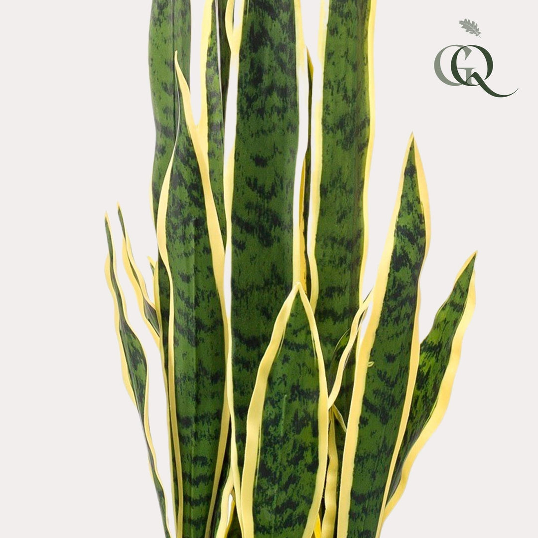 Sanseveria Trifasciata - Frauenzunge - 97 cm - kunstpflanze-Plant-Botanicly