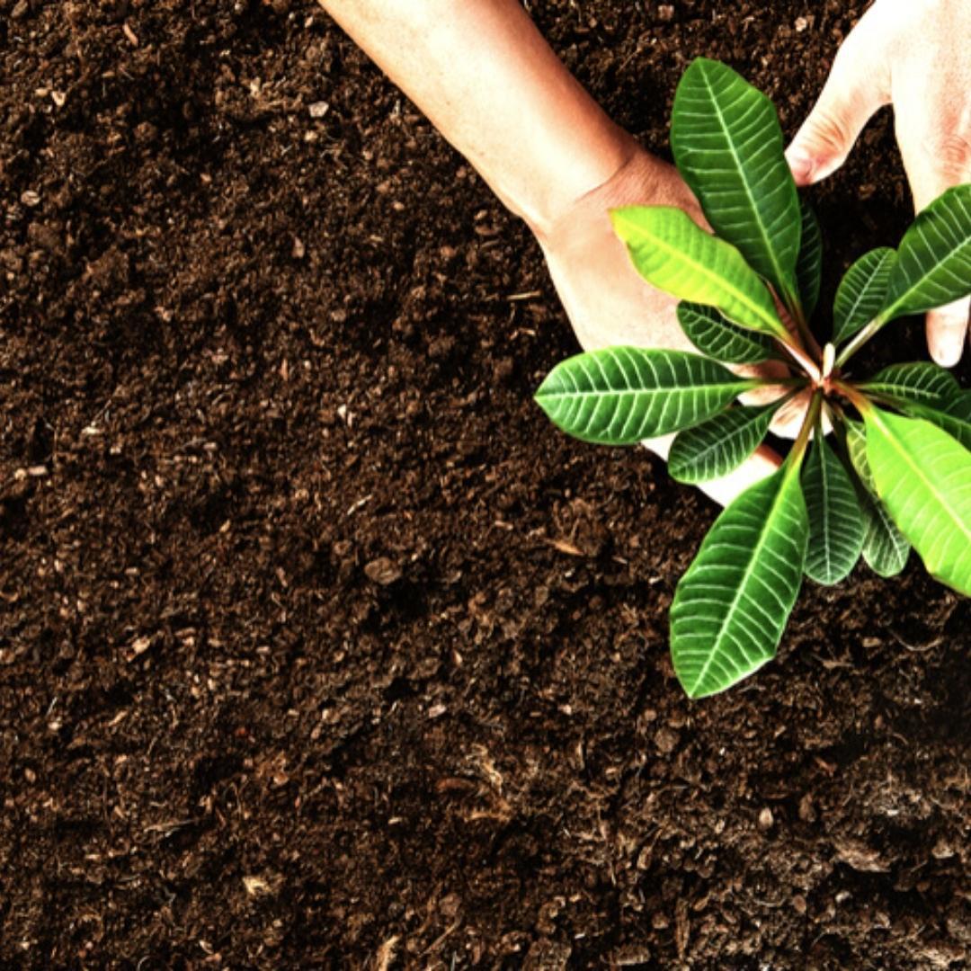 Culvita - Gartenerde 40 Liter - Biologisches Bodenverbesserungsmittel - Geeignet für die Anhebung und Nivellierung Ihres Gartens - Bodenstimulator