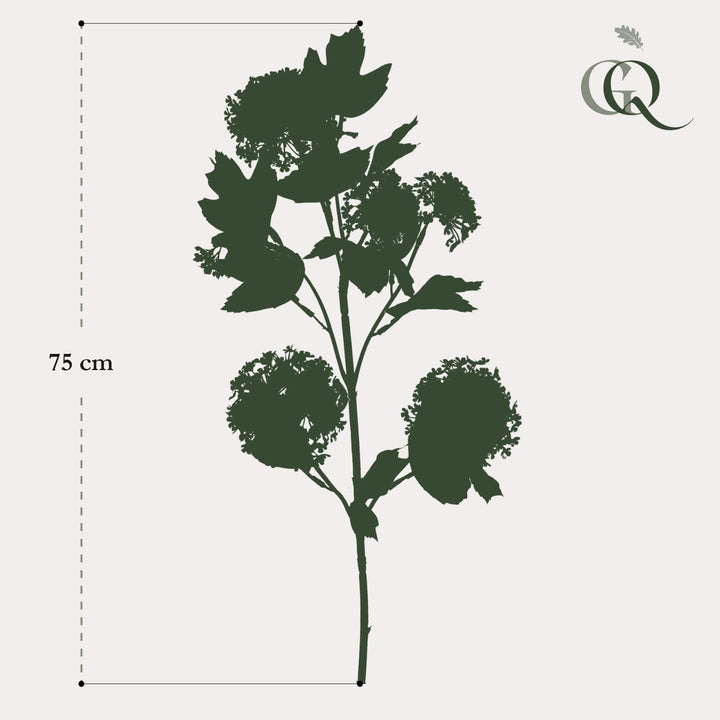 Kunstblumen - Viburnum Opulus Zweige creme x 4 - 75cm