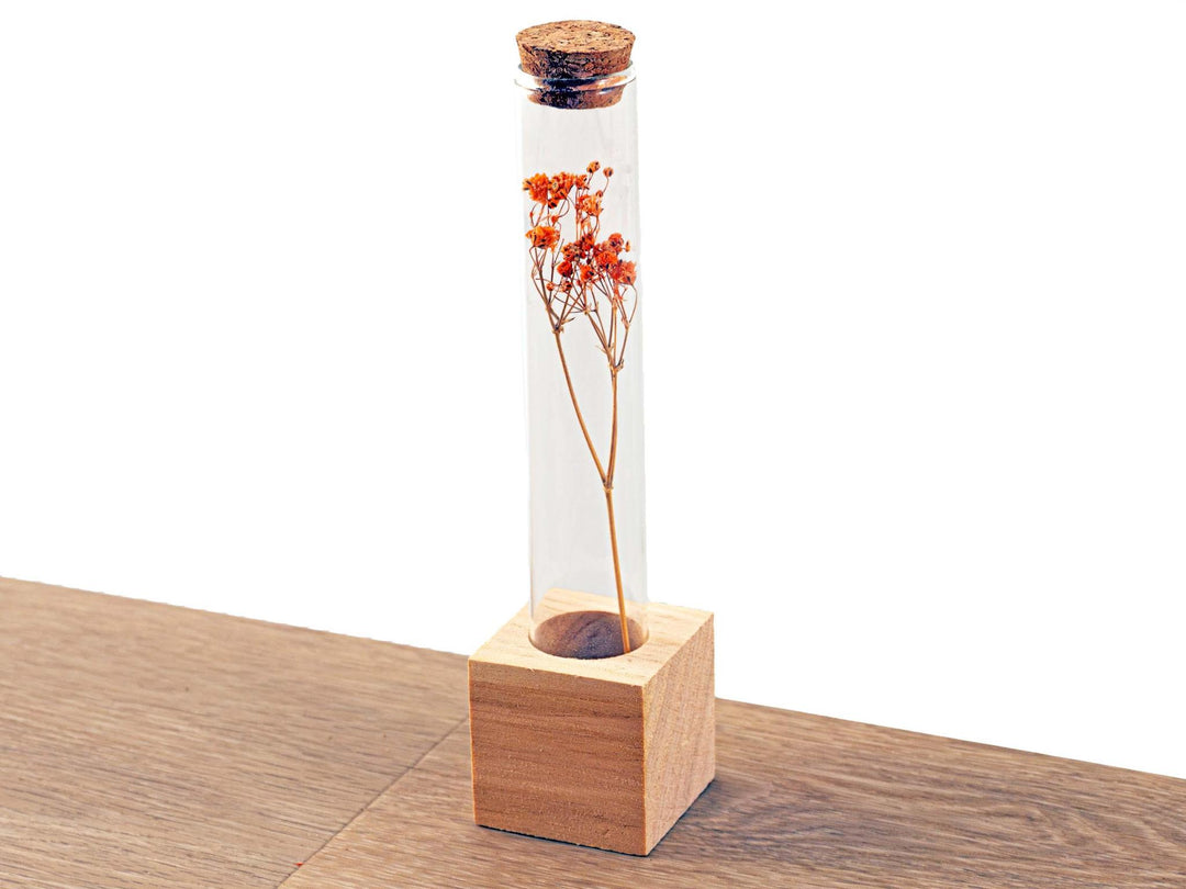 Wooden Dried flower stand - Tube S - Flowers and Herbs + Dried Floral Arrangement